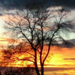 Meet your Posher, Autumn